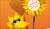 Apf orange